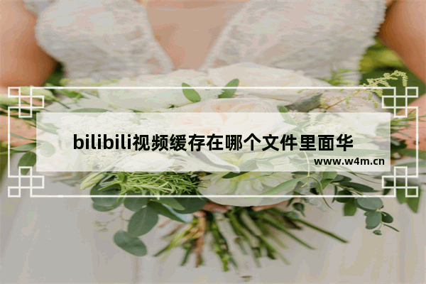 bilibili视频缓存在哪个文件里面华为