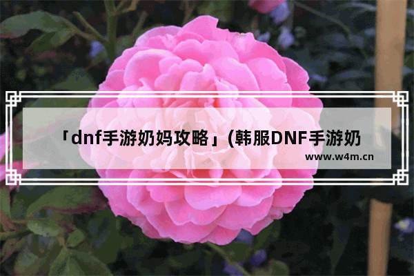 「dnf手游奶妈攻略」(韩服DNF手游奶妈攻略)