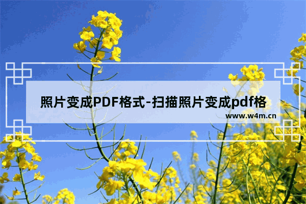 照片变成PDF格式-扫描照片变成pdf格式的小程序