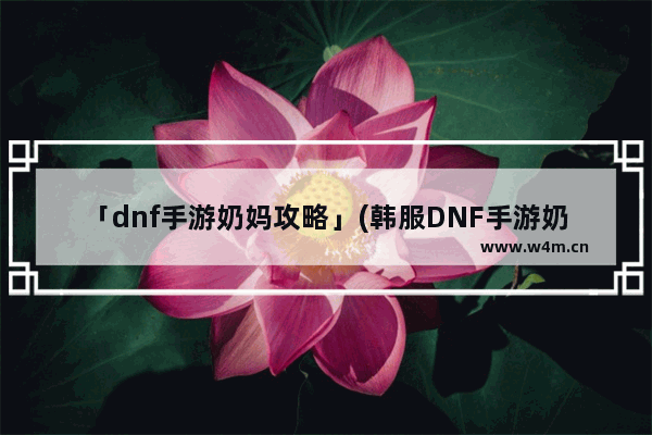 「dnf手游奶妈攻略」(韩服DNF手游奶妈攻略)