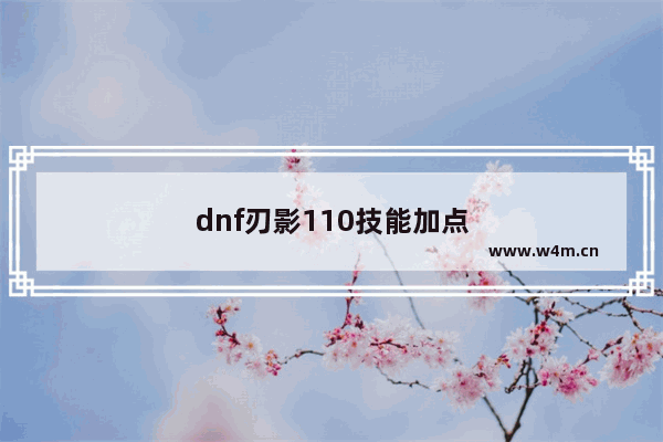 dnf刃影110技能加点