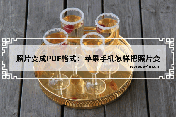 照片变成PDF格式：苹果手机怎样把照片变成pdf格式