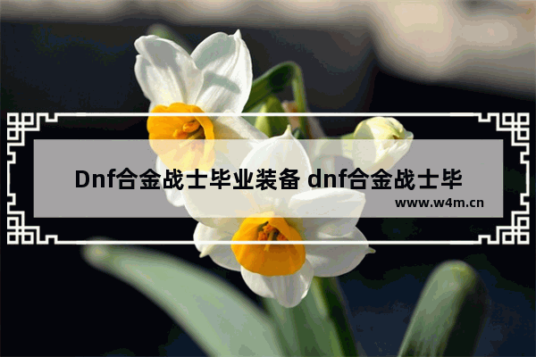 Dnf合金战士毕业装备 dnf合金战士毕业装备推荐2023