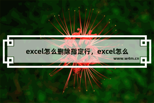 excel怎么删除指定行，excel怎么删除指定行以后的