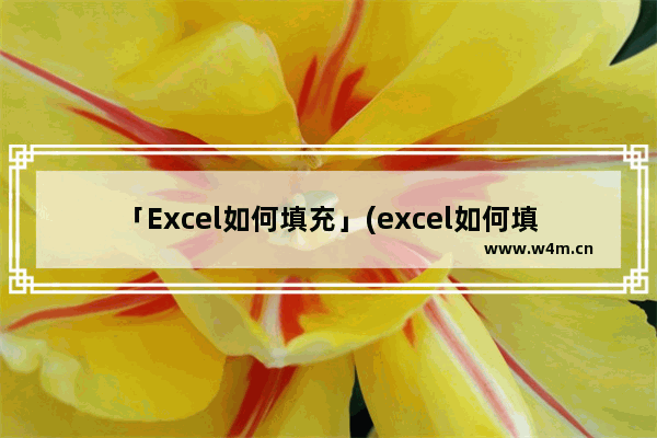 「Excel如何填充」(excel如何填充序列)