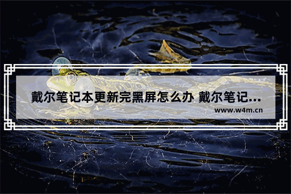 戴尔笔记本更新完黑屏怎么办 戴尔笔记本更新后无法开机解决办法