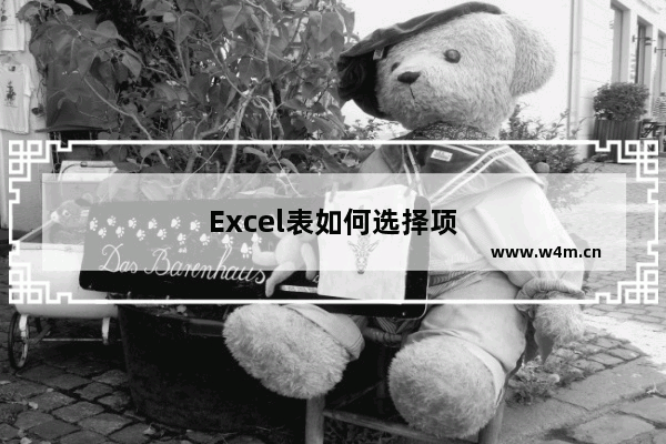 Excel表如何选择项