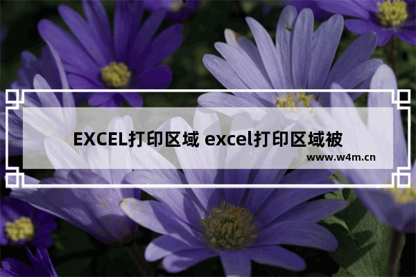 EXCEL打印区域 excel打印区域被锁定