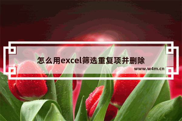 怎么用excel筛选重复项并删除