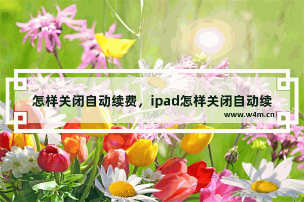 怎样关闭自动续费，ipad怎样关闭自动续费功能