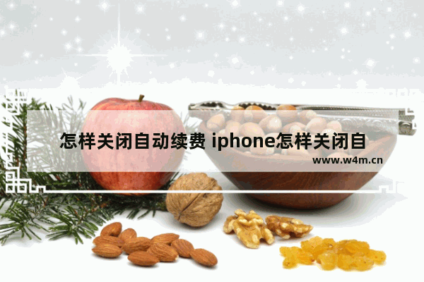 怎样关闭自动续费 iphone怎样关闭自动续费功能