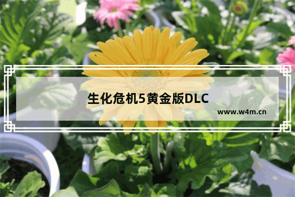 生化危机5黄金版DLC