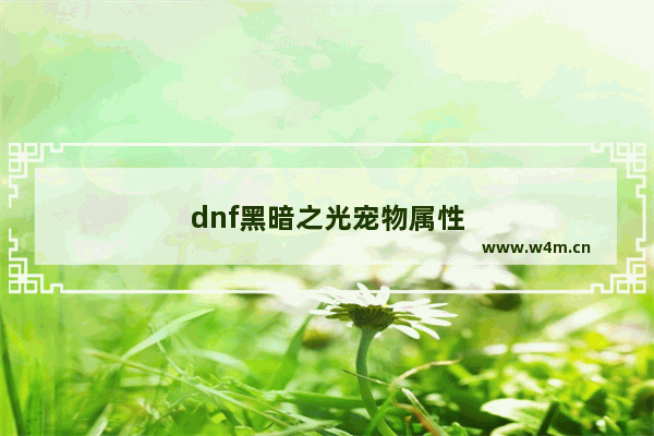 dnf黑暗之光宠物属性