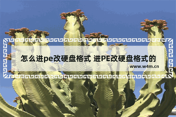 怎么进pe改硬盘格式 进PE改硬盘格式的方法