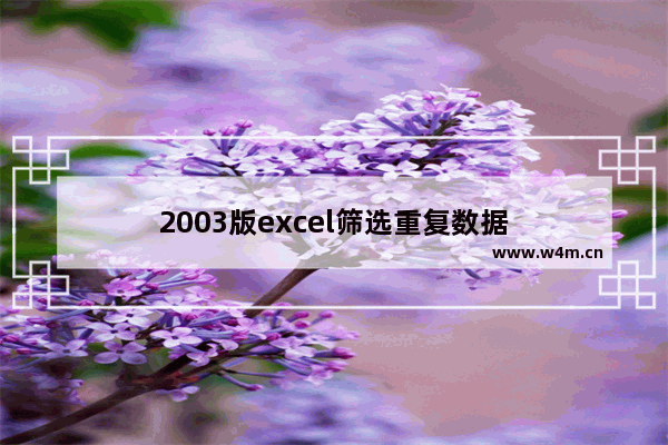 2003版excel筛选重复数据