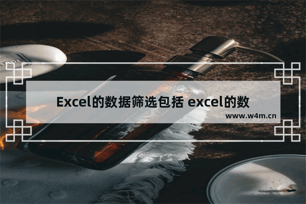 Excel的数据筛选包括 excel的数据筛选包括什么