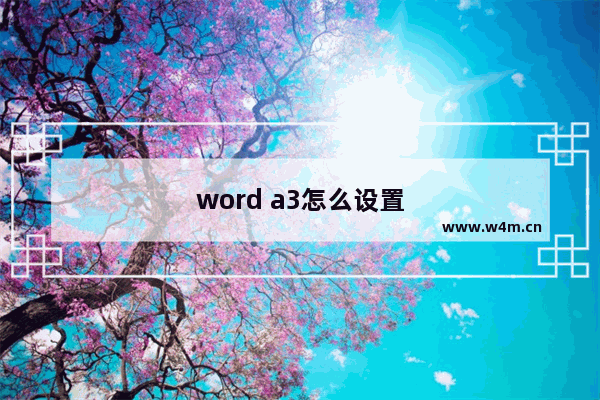 word a3怎么设置