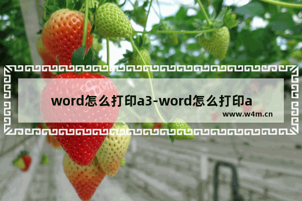 word怎么打印a3-word怎么打印a3试卷双面