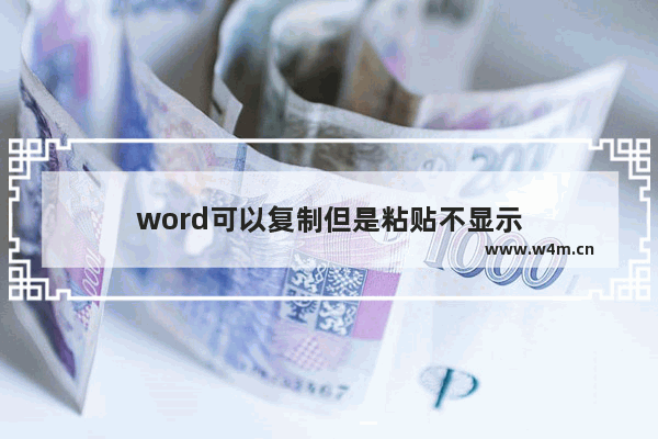 word可以复制但是粘贴不显示