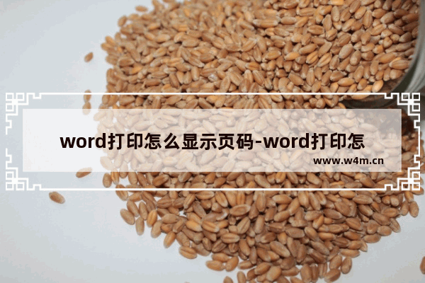 word打印怎么显示页码-word打印怎么显示页码数字