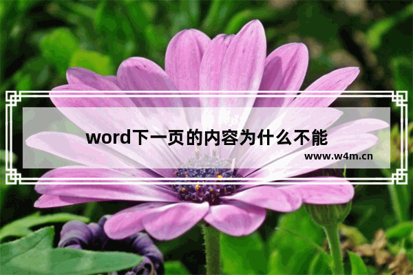 word下一页的内容为什么不能