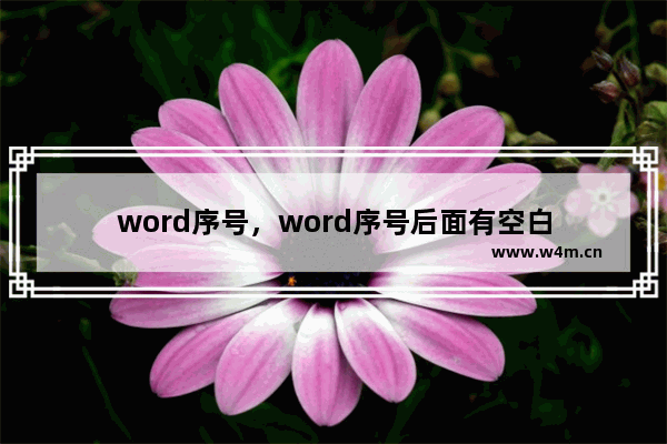 word序号，word序号后面有空白