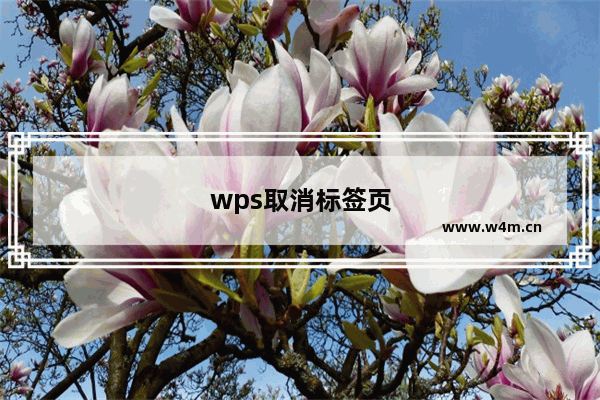 wps取消标签页