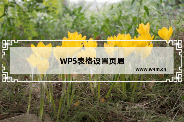 WPS表格设置页眉