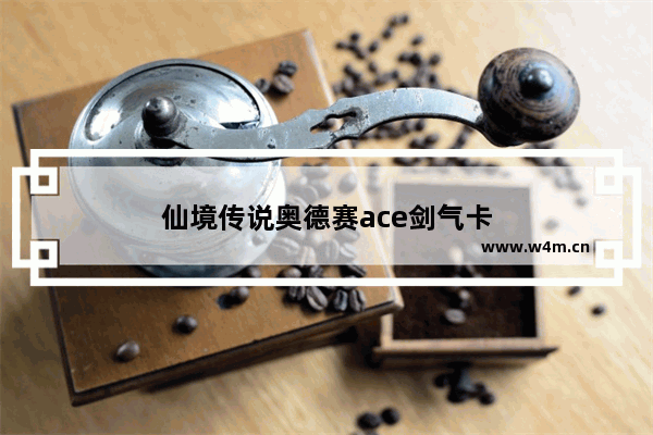 仙境传说奥德赛ace剑气卡