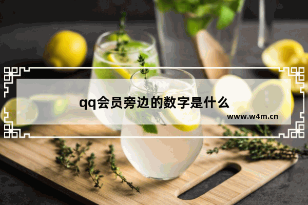 qq会员旁边的数字是什么