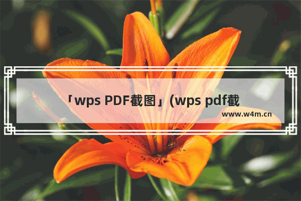 「wps PDF截图」(wps pdf截图怎么操作)