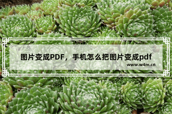 图片变成PDF，手机怎么把图片变成pdf格式免费