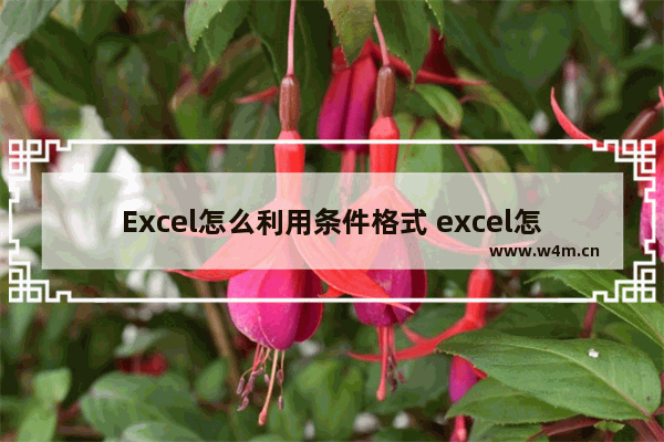 Excel怎么利用条件格式 excel怎么利用条件格式设置颜色