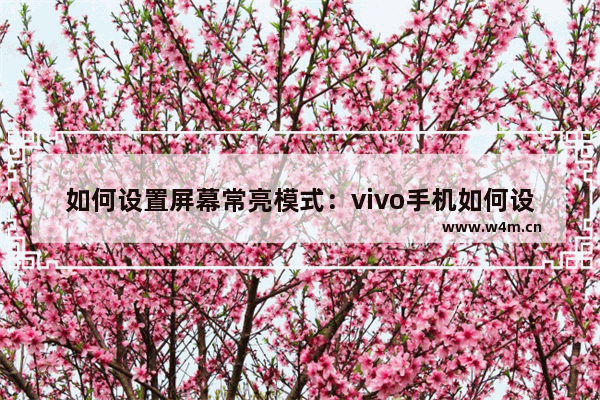 如何设置屏幕常亮模式：vivo手机如何设置屏幕常亮模式