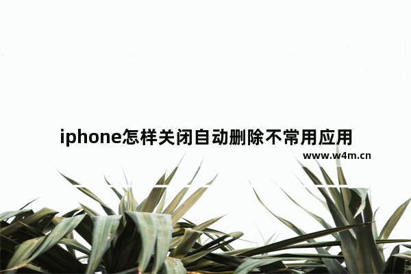 iphone怎样关闭自动删除不常用应用