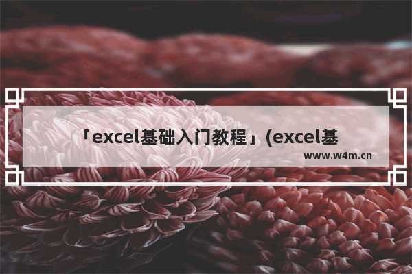 「excel基础入门教程」(excel基础入门教程书籍)