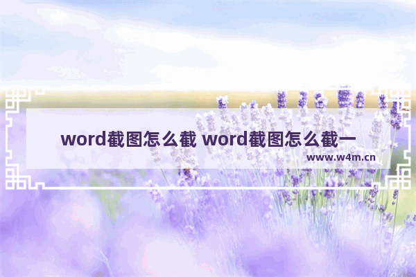 word截图怎么截 word截图怎么截一整页