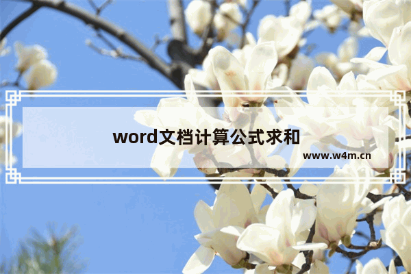 word文档计算公式求和