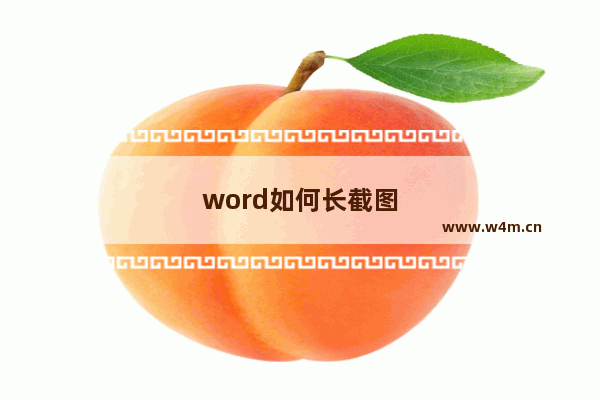 word如何长截图