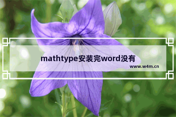 mathtype安装完word没有