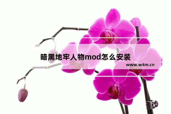 暗黑地牢人物mod怎么安装