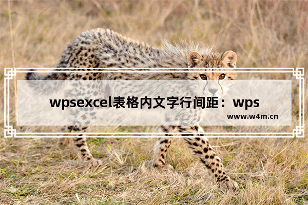 wpsexcel表格内文字行间距：wpsexcel表格内文字行间距怎么设置