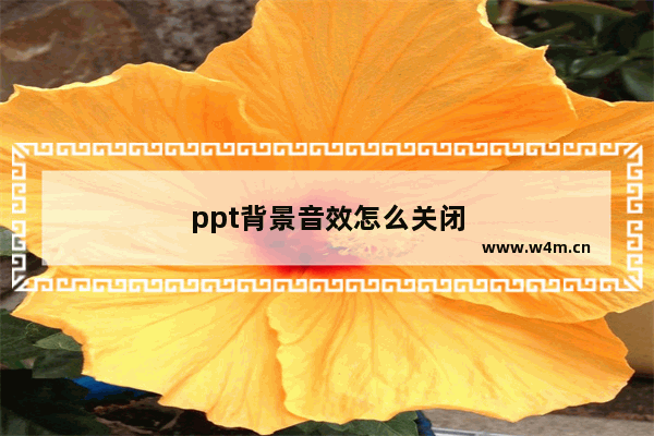 ppt背景音效怎么关闭