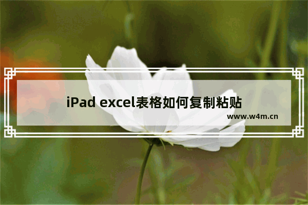 iPad excel表格如何复制粘贴