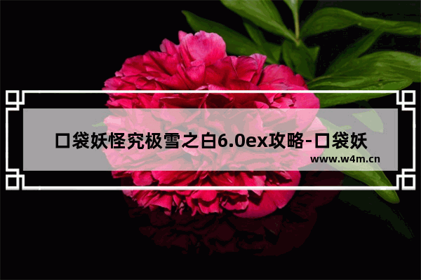 口袋妖怪究极雪之白6.0ex攻略-口袋妖怪究极雪之白6.0ex攻略第五个道馆怎么打