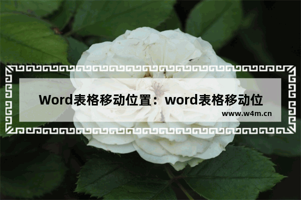 Word表格移动位置：word表格移动位置跑出去了