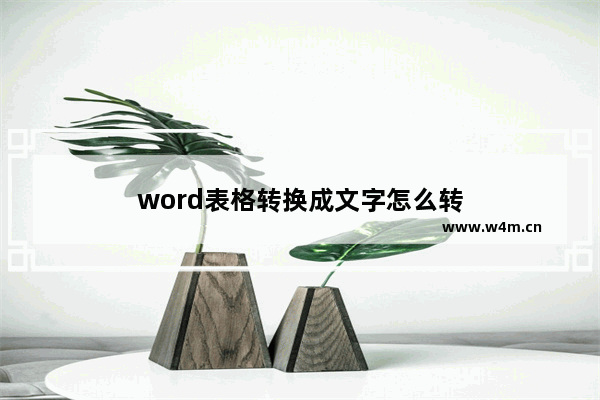 word表格转换成文字怎么转