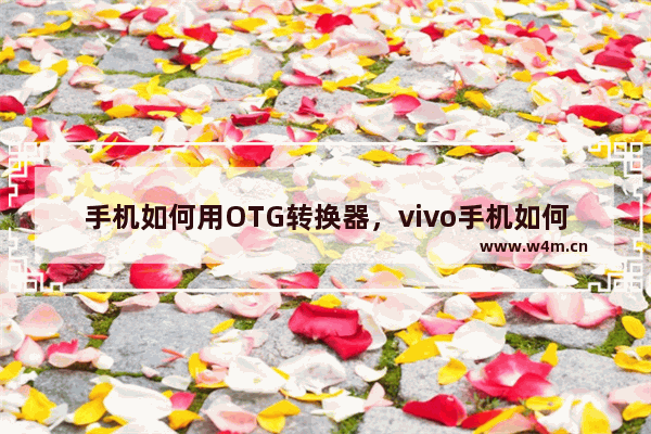 手机如何用OTG转换器，vivo手机如何用OTG转换器