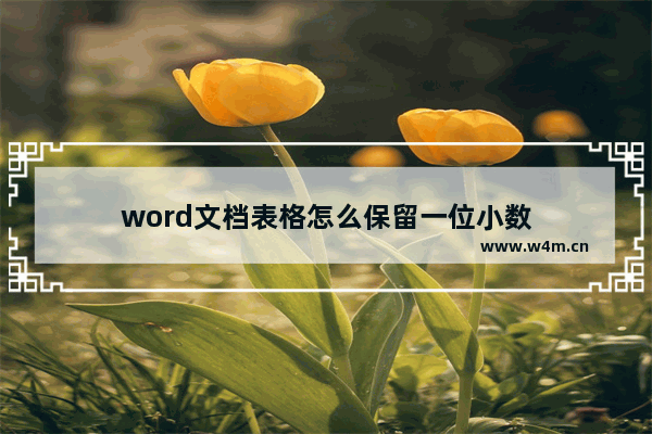 word文档表格怎么保留一位小数