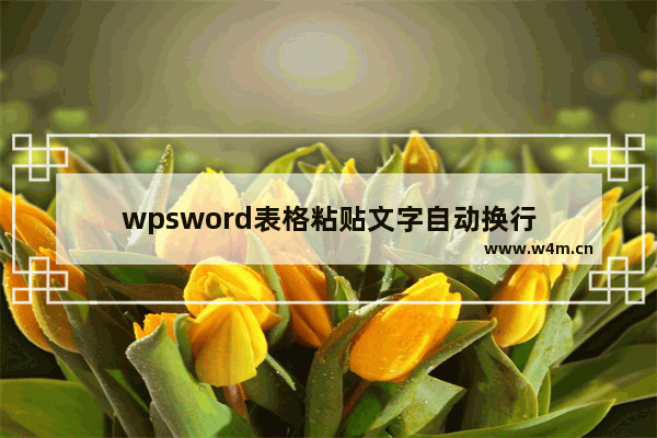 wpsword表格粘贴文字自动换行